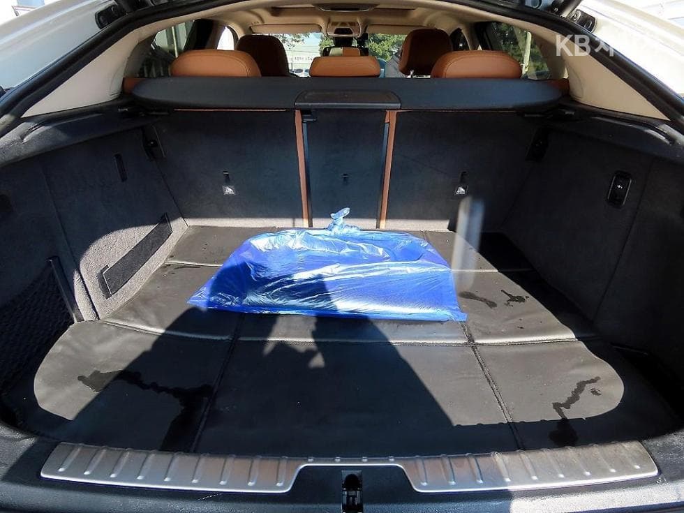 BMW X6(F16)xDrive 30d Standard - 17