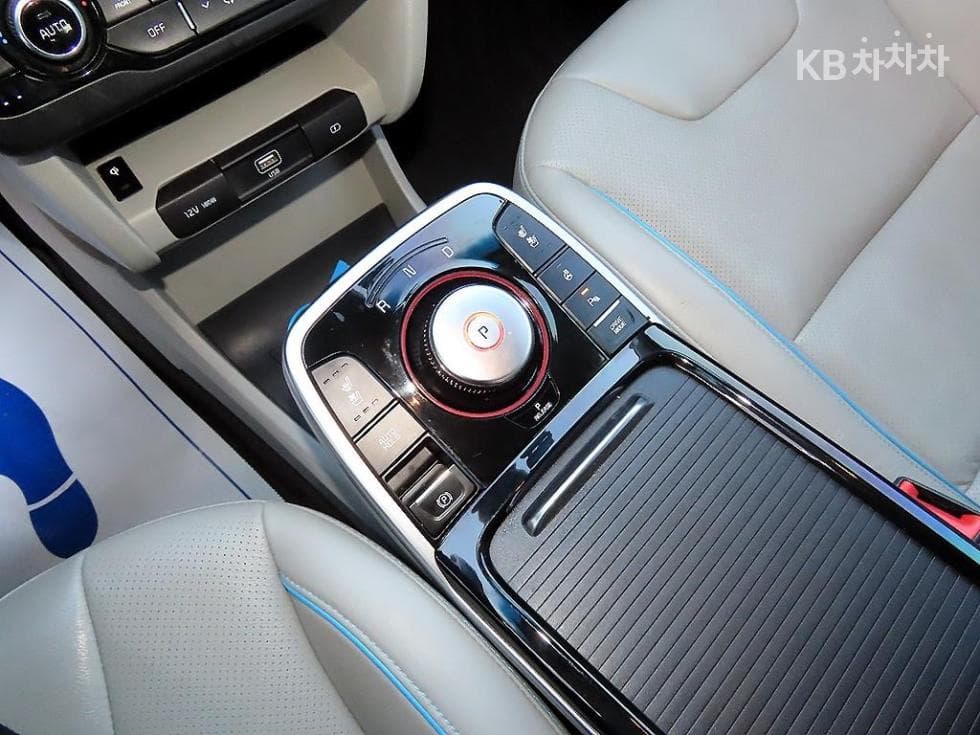 Kia Niro EVNoblesse - 10