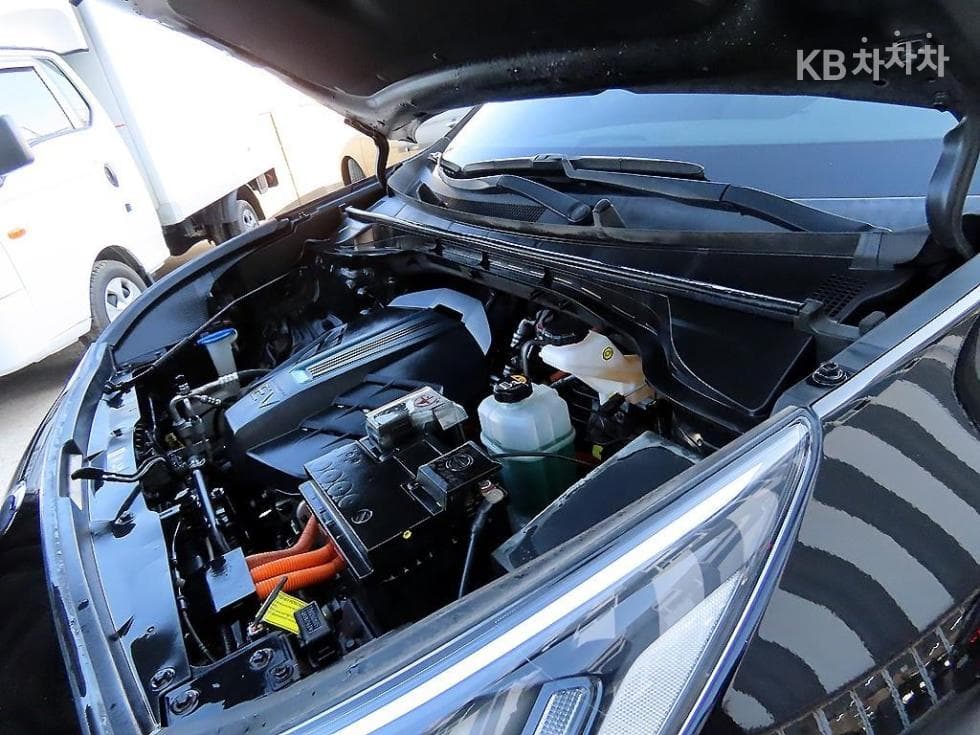 Kia Niro EVNoblesse - 19