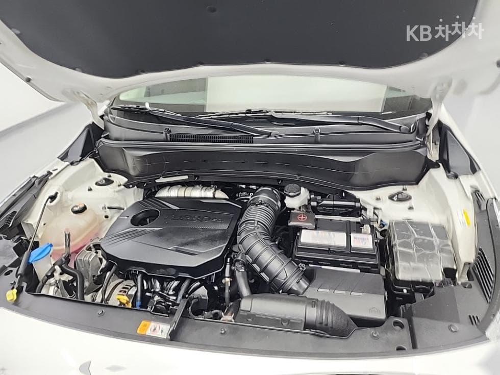 Kia Seltos1.6 Gasoline Turbo 2WD Trendy - 5