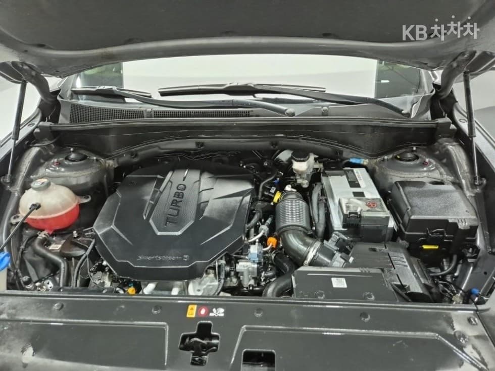 Hyundai The New (facelift) Santa Fe TMDiesel 2.2 2WD Premium 초이스 - 17