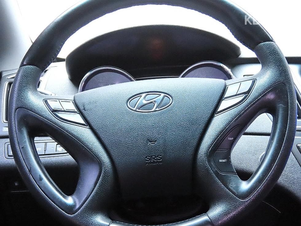 Hyundai YFSonataLPi Top (Cargo) - 17