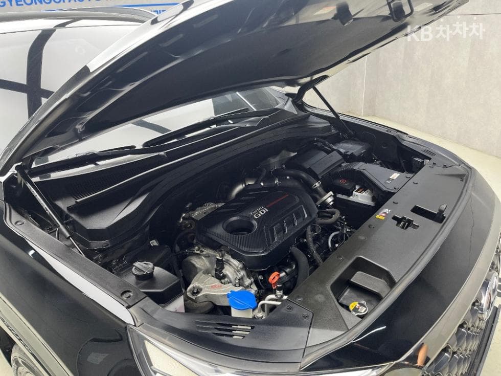 Hyundai Santa Fe TMGasoline 2.0T 2WD Inspiration - 17