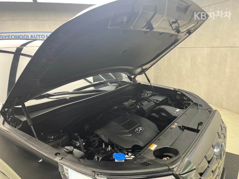 Hyundai The New (facelift) Palisade3.8 Gasoline 2WD Calligraphy - 17