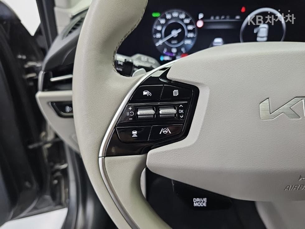 Kia The All New Niro EV어스 Standard - 17