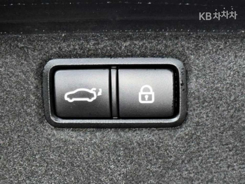 Genesis G803.3 GDI AWD Premium Luxury - 18