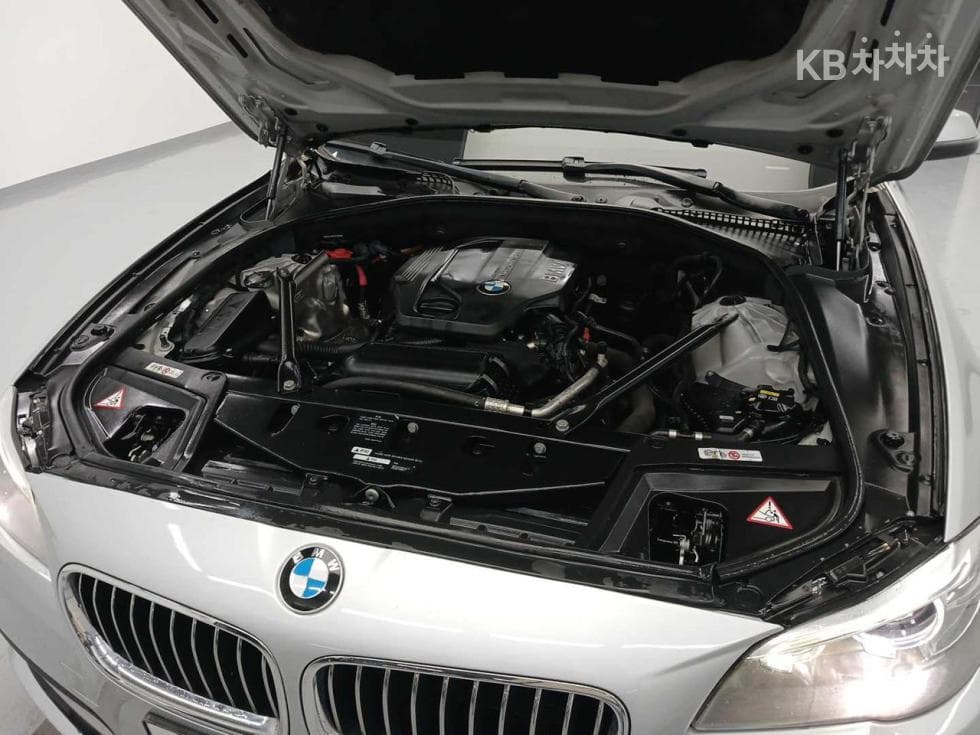 BMW 5 Series520d - 5