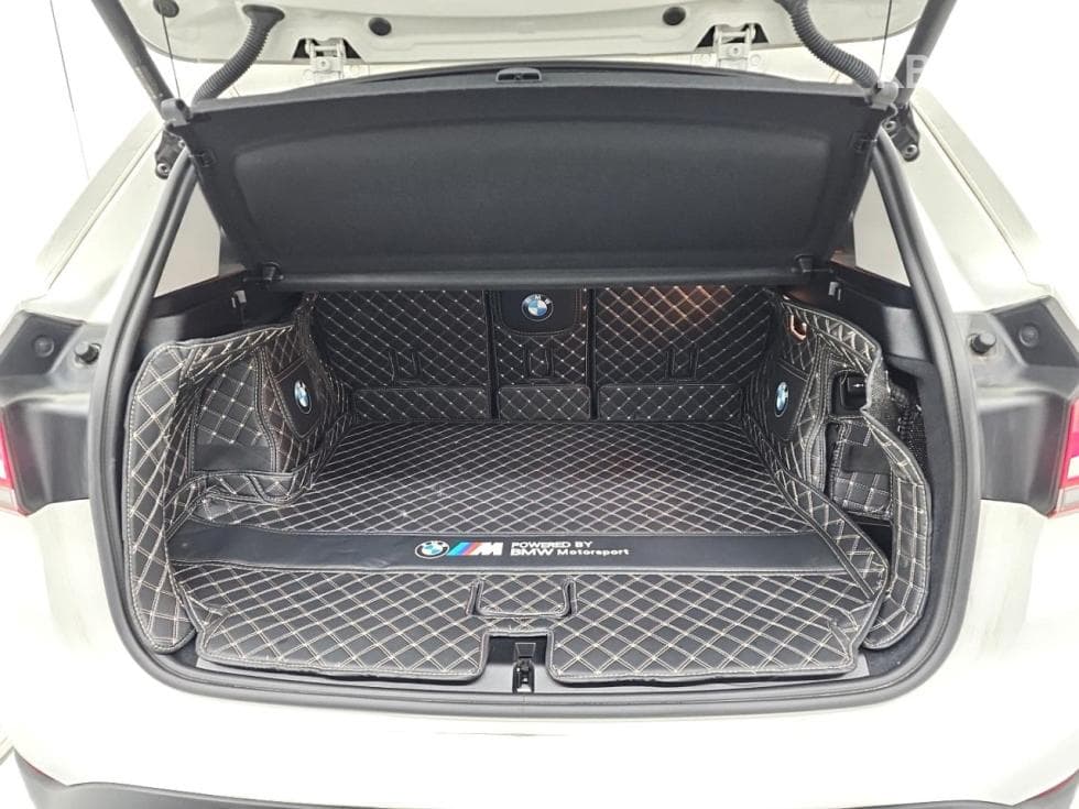 BMW X1 (F48)xDrive 18d Advantage - 17