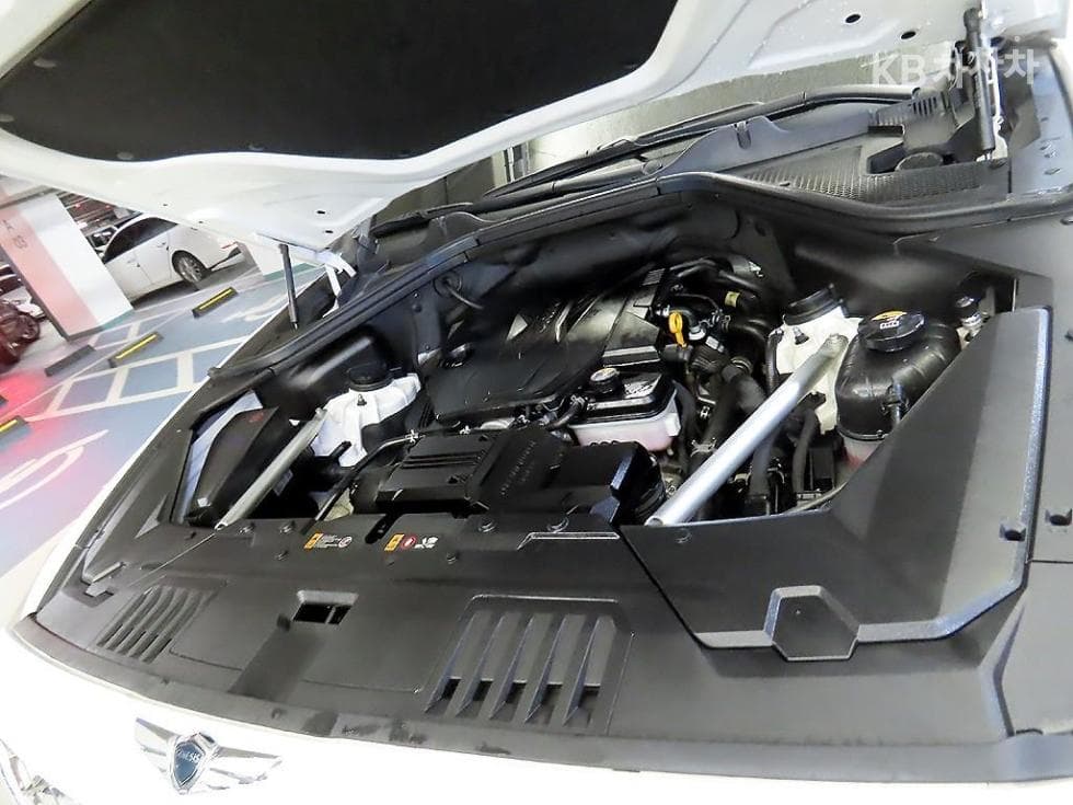 Genesis GV802.5 Turbo Gasoline AWD - 19