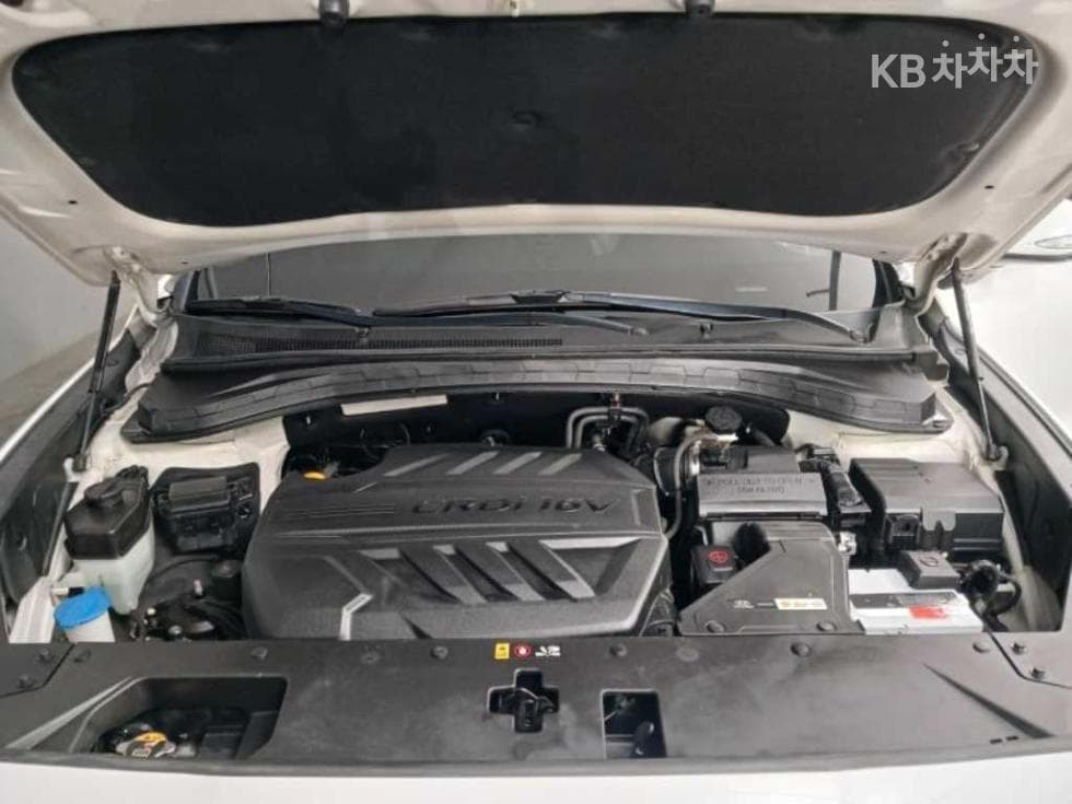 Hyundai Santa Fe TMDiesel 2.0 2WD Prestige - 19