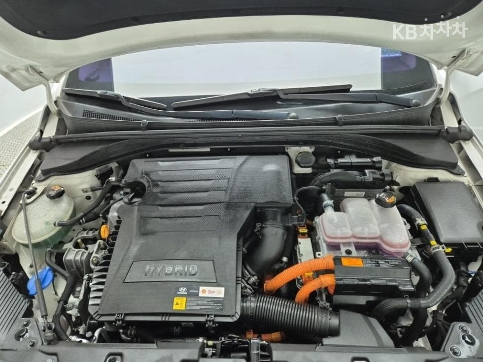 Hyundai IONIQ (Original Model)N - 6