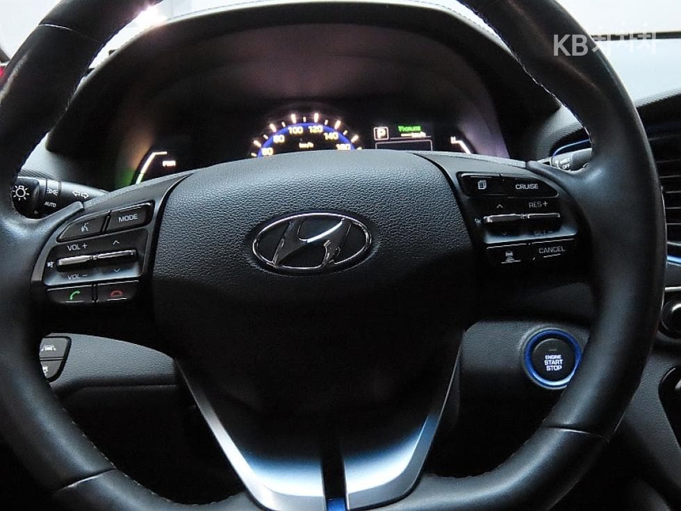 Hyundai IONIQ (Original Model)N - 18