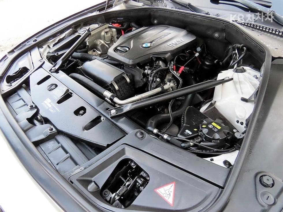 BMW New5 Series520d xDrive Luxury Plus F10 - 19