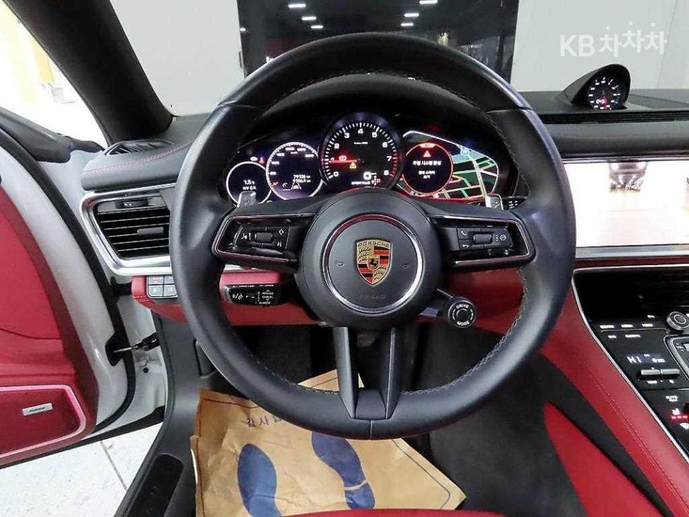 Porsche 파나메라 (971)2.9 4 Platinum Edition - 9