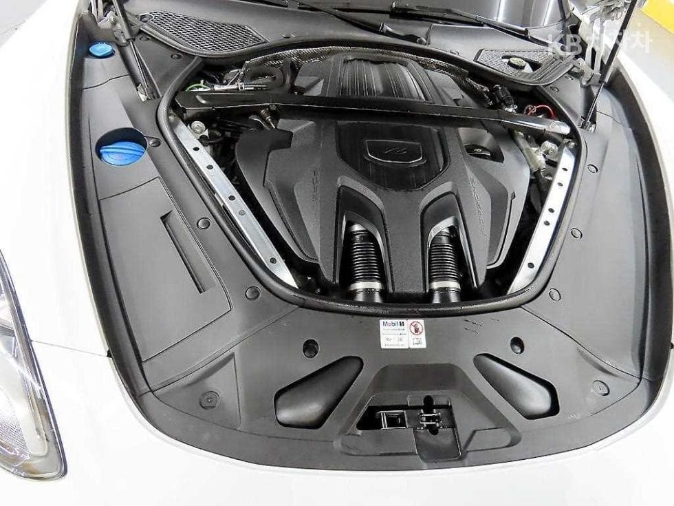 Porsche 파나메라 (971)2.9 4 Platinum Edition - 19