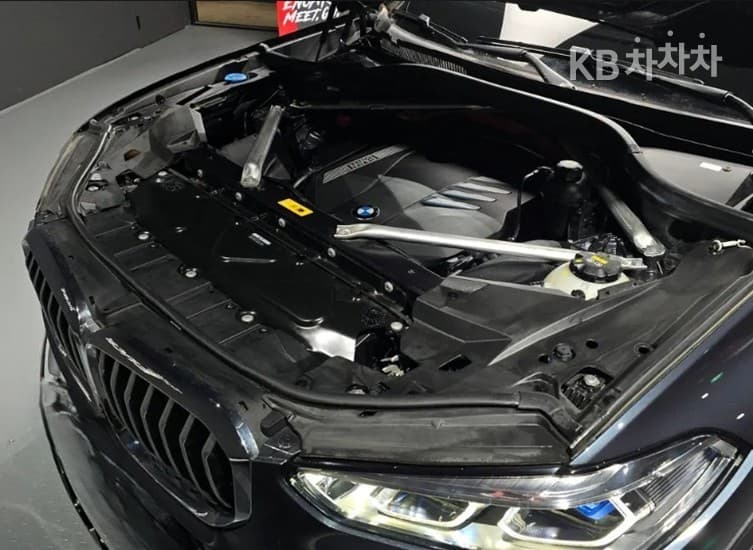 BMW X5 (G05)xDrive 45e xLine - 6