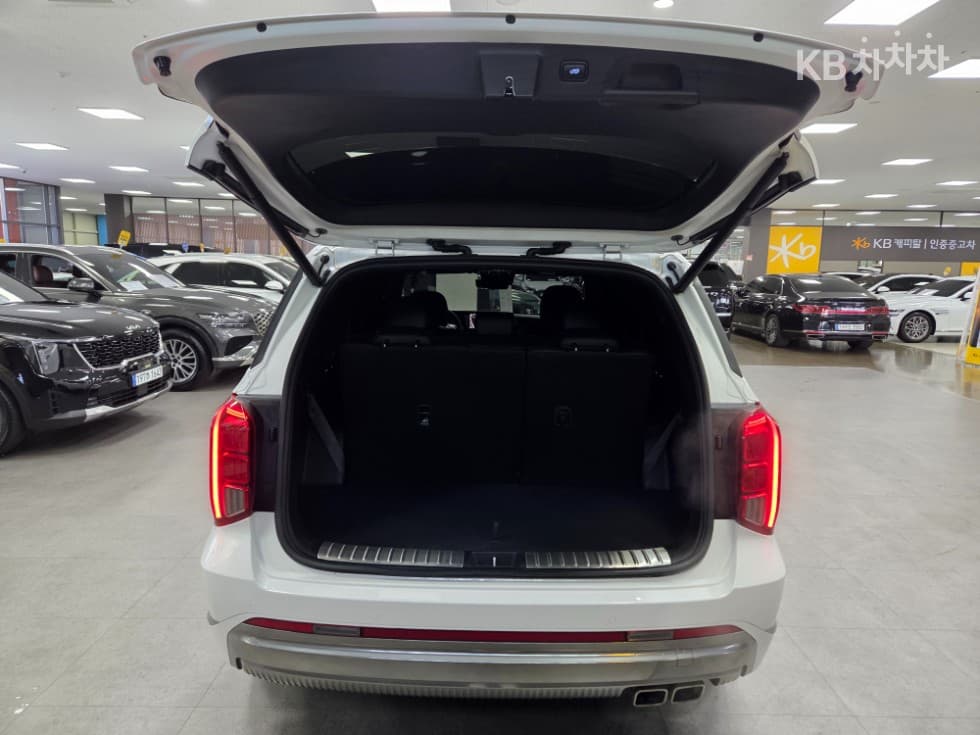 Hyundai The New (facelift) Palisade3.8 Gasoline 4WD Calligraphy - 28