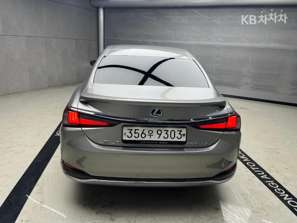 Lexus New 제너Ray (van)션 ES300h Executive - 3