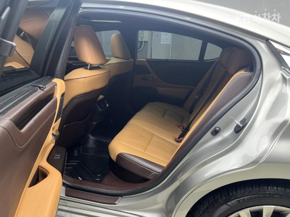 Lexus New 제너Ray (van)션 ES300h Executive - 6