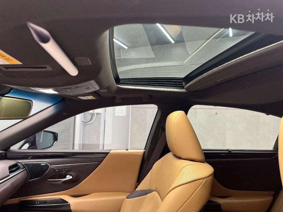 Lexus New 제너Ray (van)션 ES300h Executive - 15