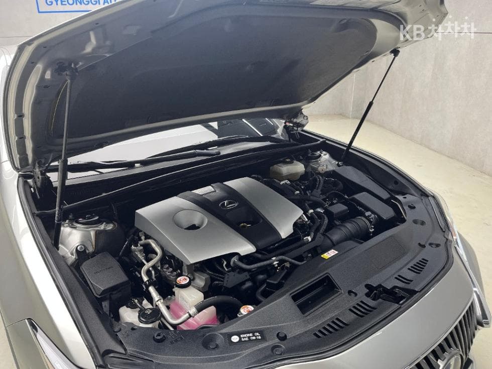 Lexus New 제너Ray (van)션 ES300h Executive - 16