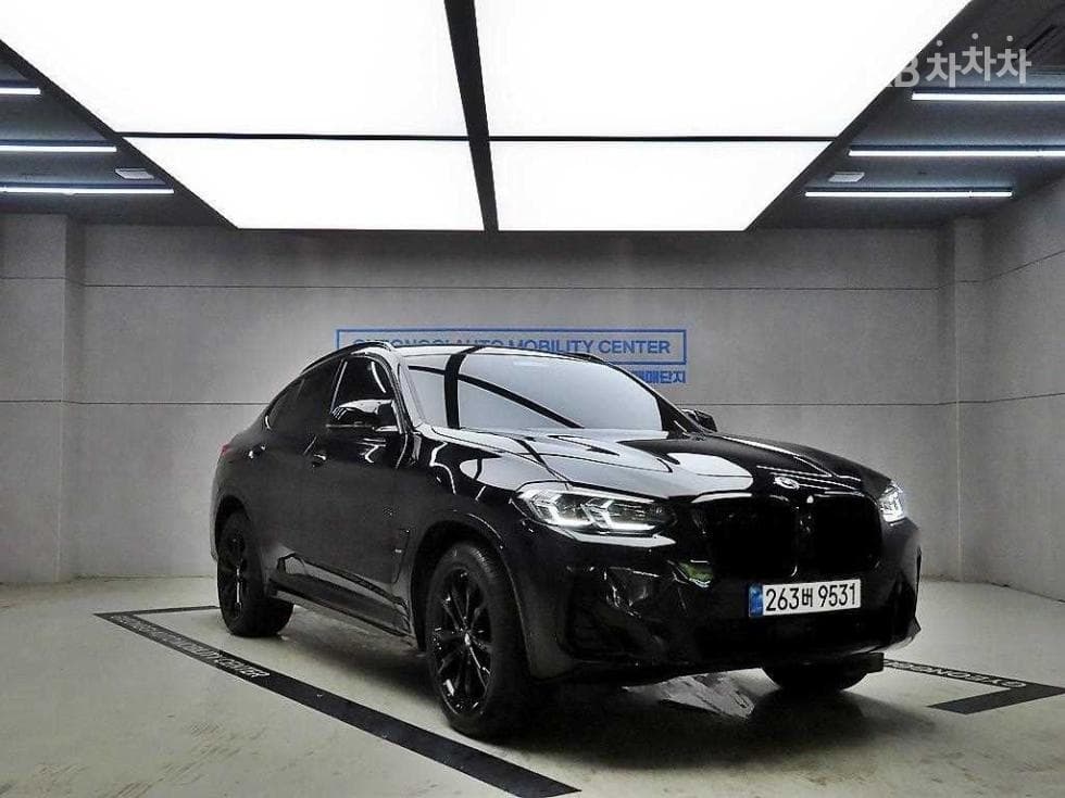 BMW New X4 (G02) xDrive 20i xLine - Image 1