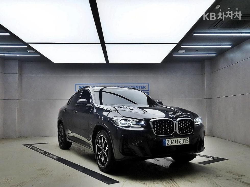 BMW New X4 (G02) xDrive 20i xLine - Image 1