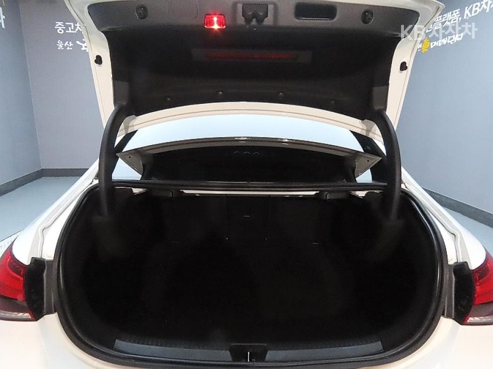 Mercedes-Benz A클래스(W177)A220 Sedan - - 19