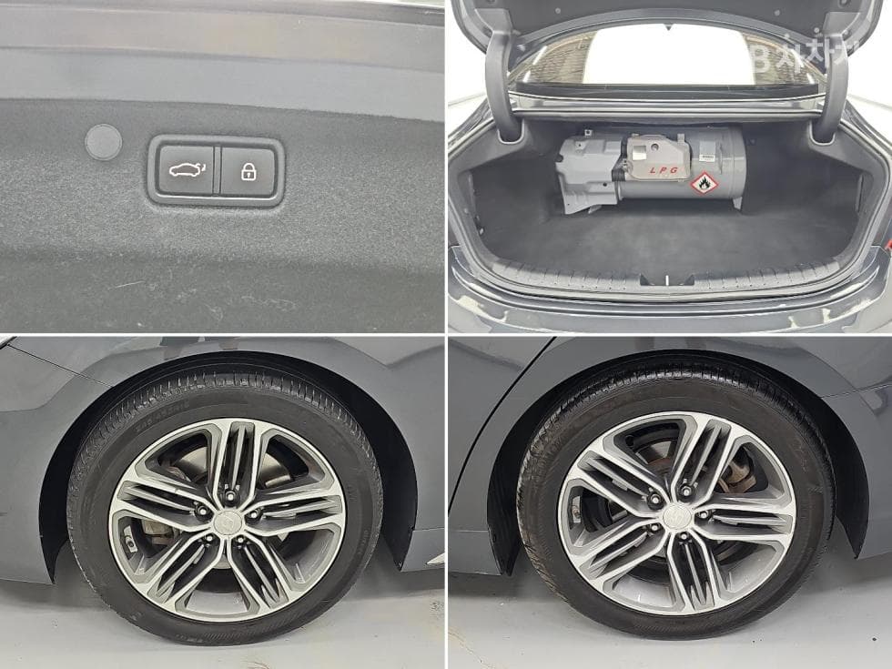 Hyundai Grandeur (Azera)IGDisabled-accessible 3.0 LPi Premium Special (special feature/edition) - 19