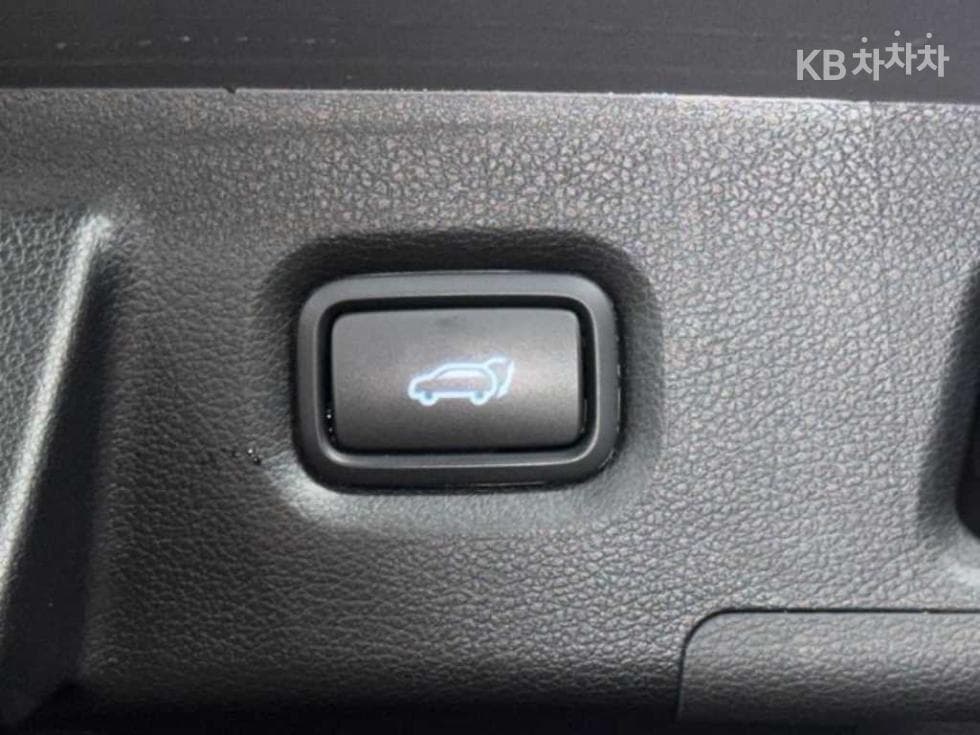 Hyundai Santa Fe TMDiesel 2.0 2WD Exclusive - 18