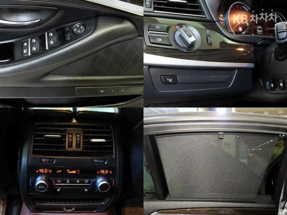 BMW New5 Series528i xDrive Luxury Standard - 18