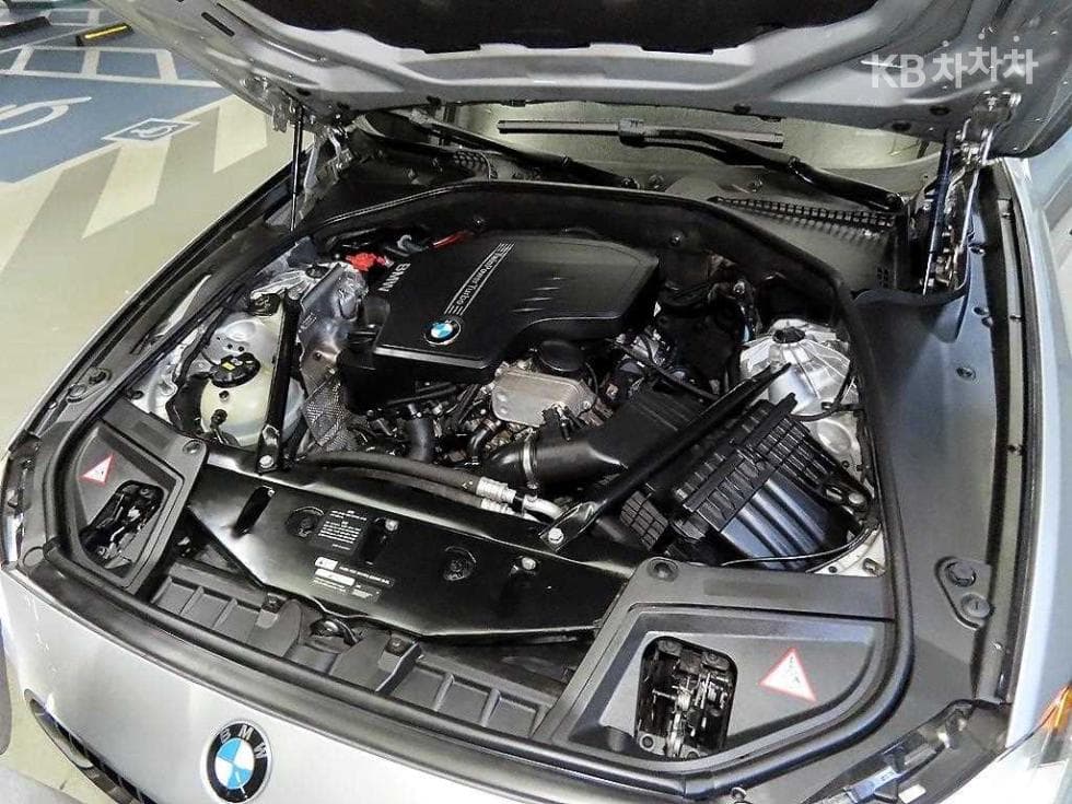 BMW New5 Series528i xDrive Luxury Standard - 19