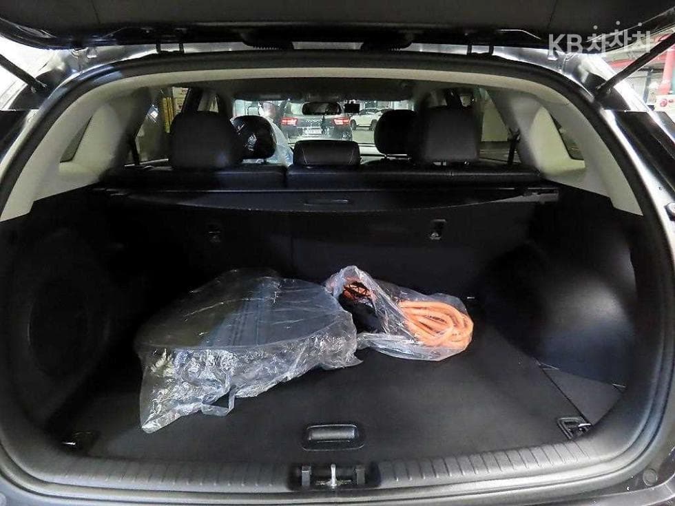 Kia Niro EVNoblesse - 17