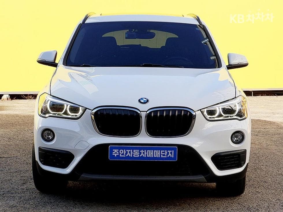 BMW X1 (F48)xDrive 20d xLine SE