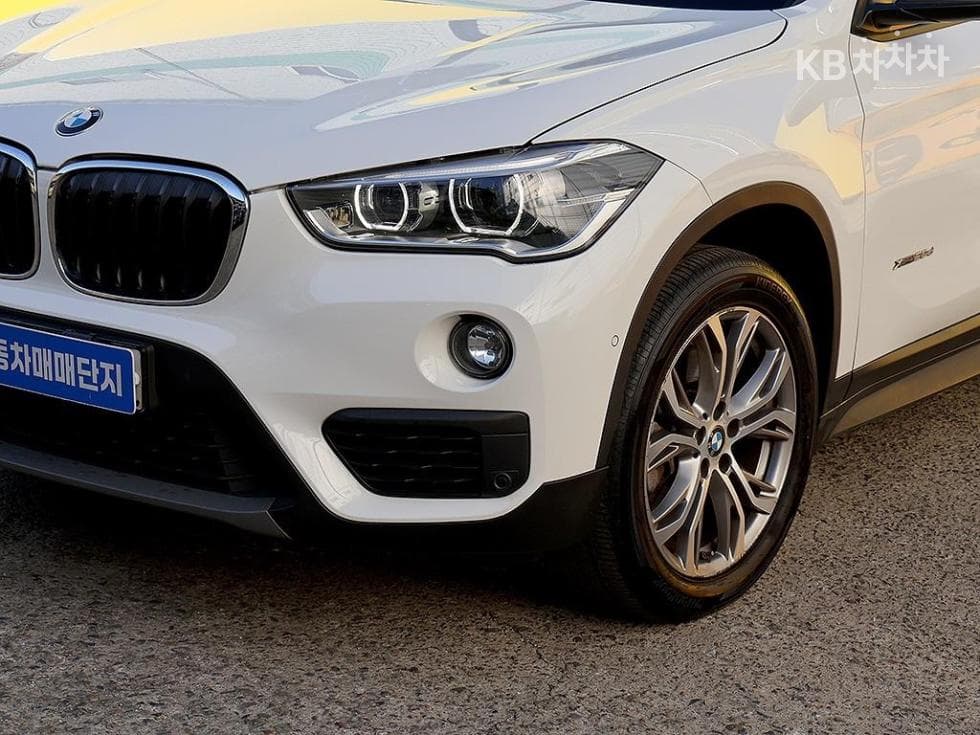 BMW X1 (F48)xDrive 20d xLine SE - 16