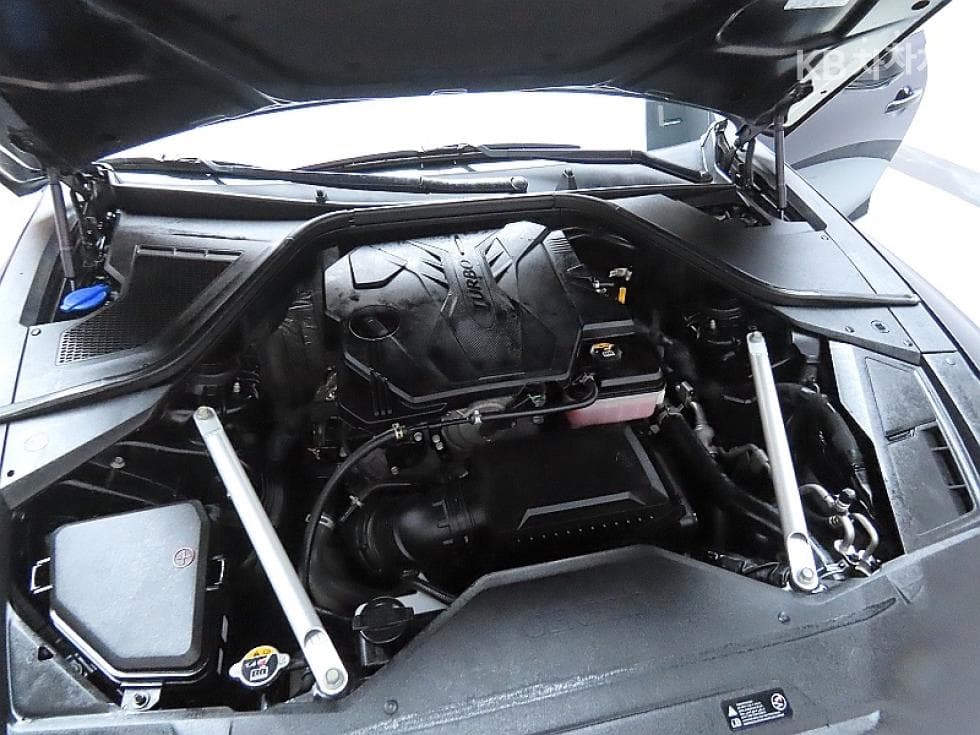 Дженезис G80(RG3)2.5 Турбо Бензин Директ Инжекция AWD - 7