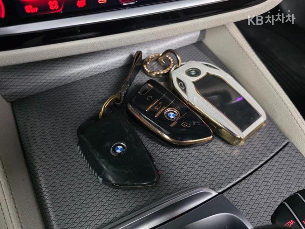 BMW 올New5 Series (G30)M550d xDrive - 17