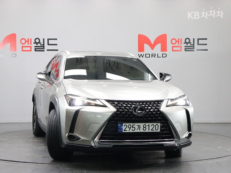 Lexus UX250h Standard - 2