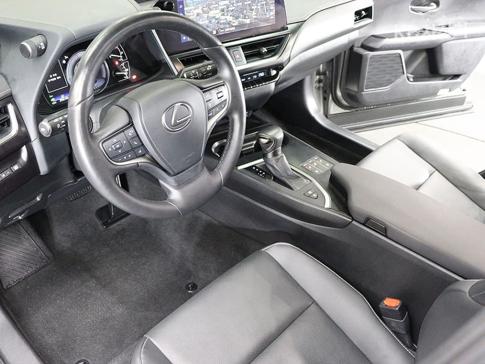 Lexus UX250h Standard - 17