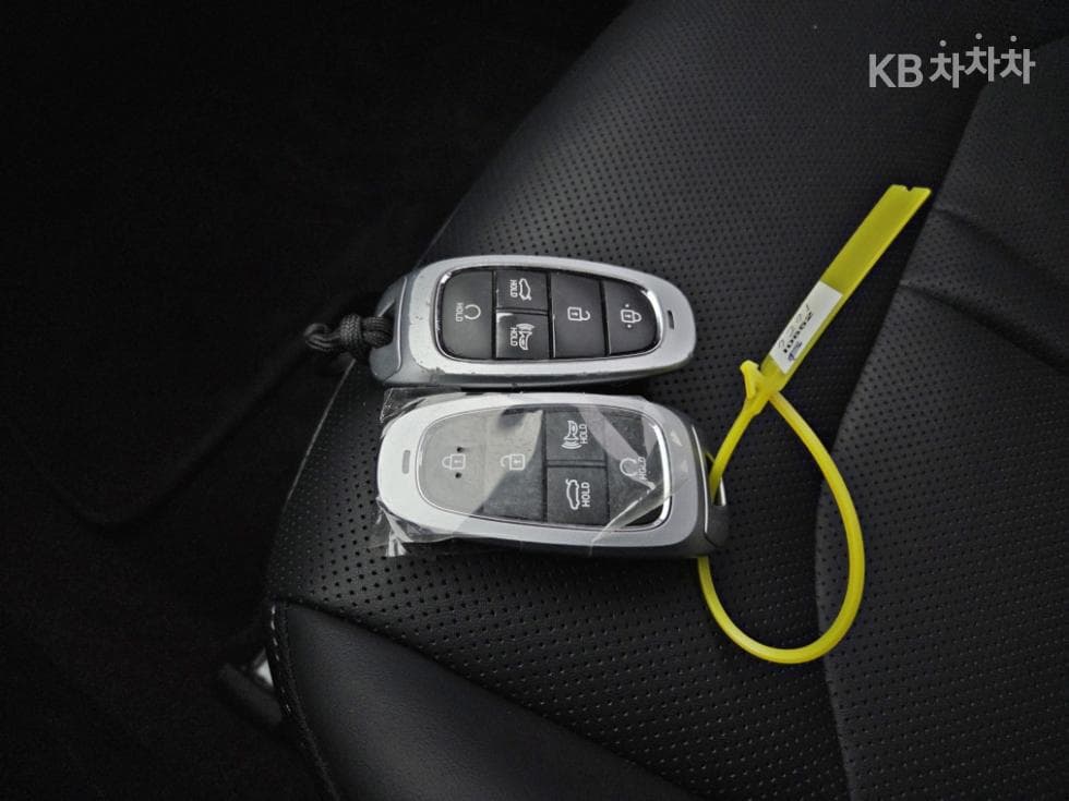 Hyundai Sonata (DN8)2.0 LPG Rental car Style - 10