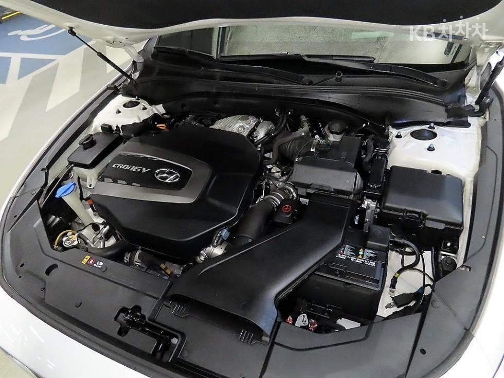 Hyundai Grandeur (Azera)IGDiesel 2.2 Premium Special (special feature/edition) - 19