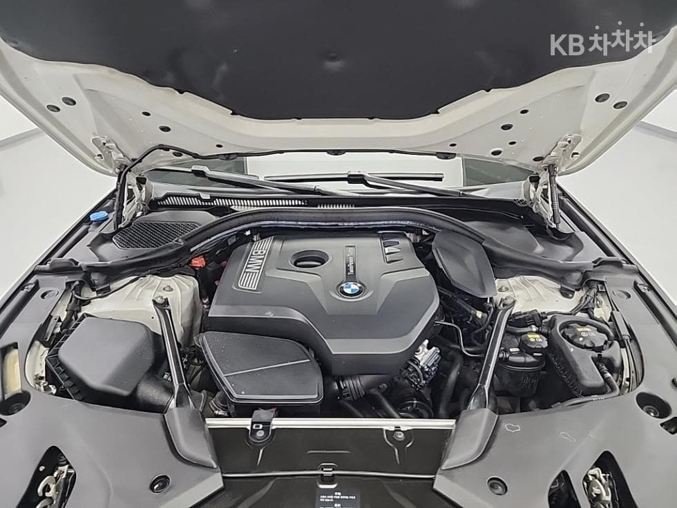 BMW 올New5 Series (G30)530i xDrive M Sport Plus - 5