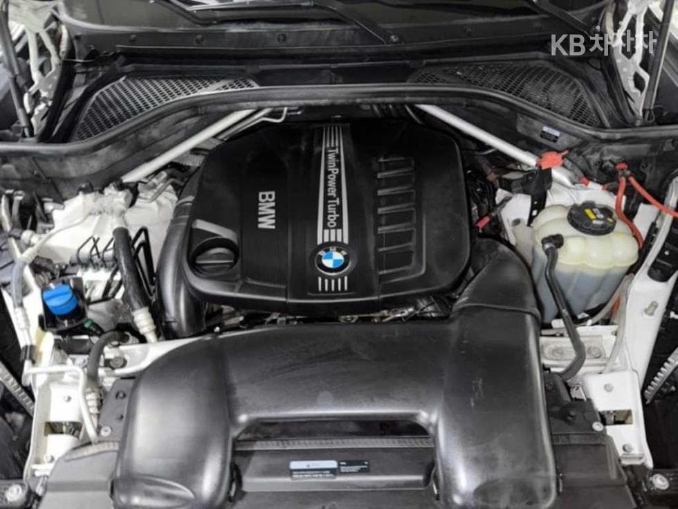 BMW X6(F16)xDrive 30d Standard - 19