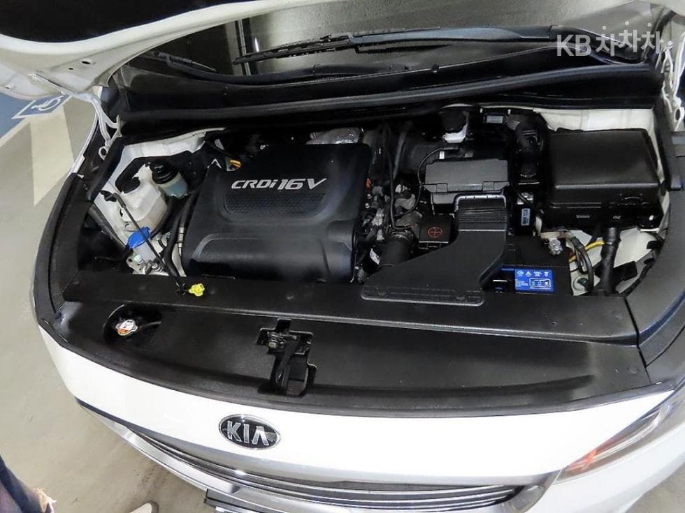 Kia All New Carnival6Seater승 2.2 Diesel 휠체어 리프트 - 6