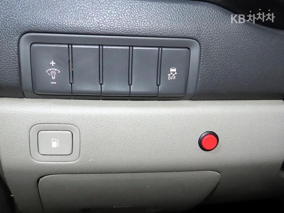 Kia All New Carnival6Seater승 2.2 Diesel 휠체어 리프트 - 10