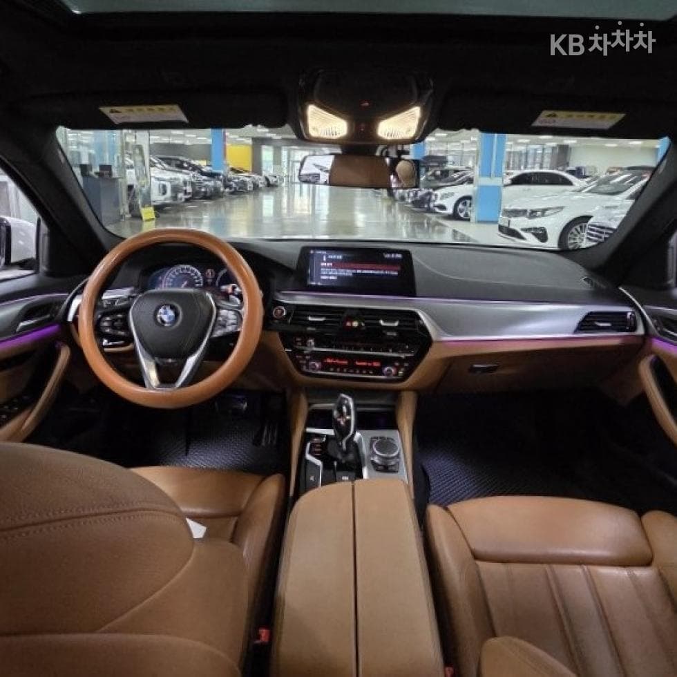 BMW 올Нов5 Серия (G30)520d M Sport Plus - 16