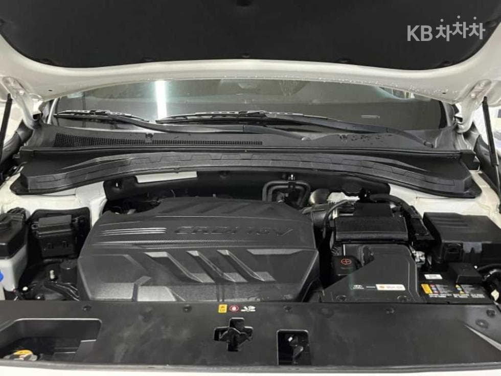Hyundai Santa Fe TMDiesel 2.0 2WD Exclusive - 19