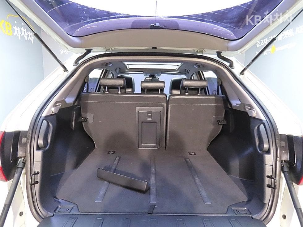 Renault Korea QM5 NEODiesel 2.0 2WD RE Standard - 19