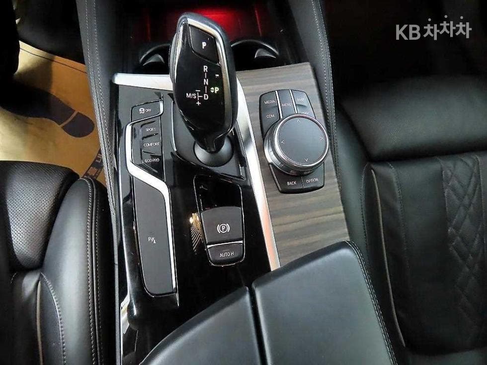 BMW 올New5 Series (G30)530i Luxury Plus - 10