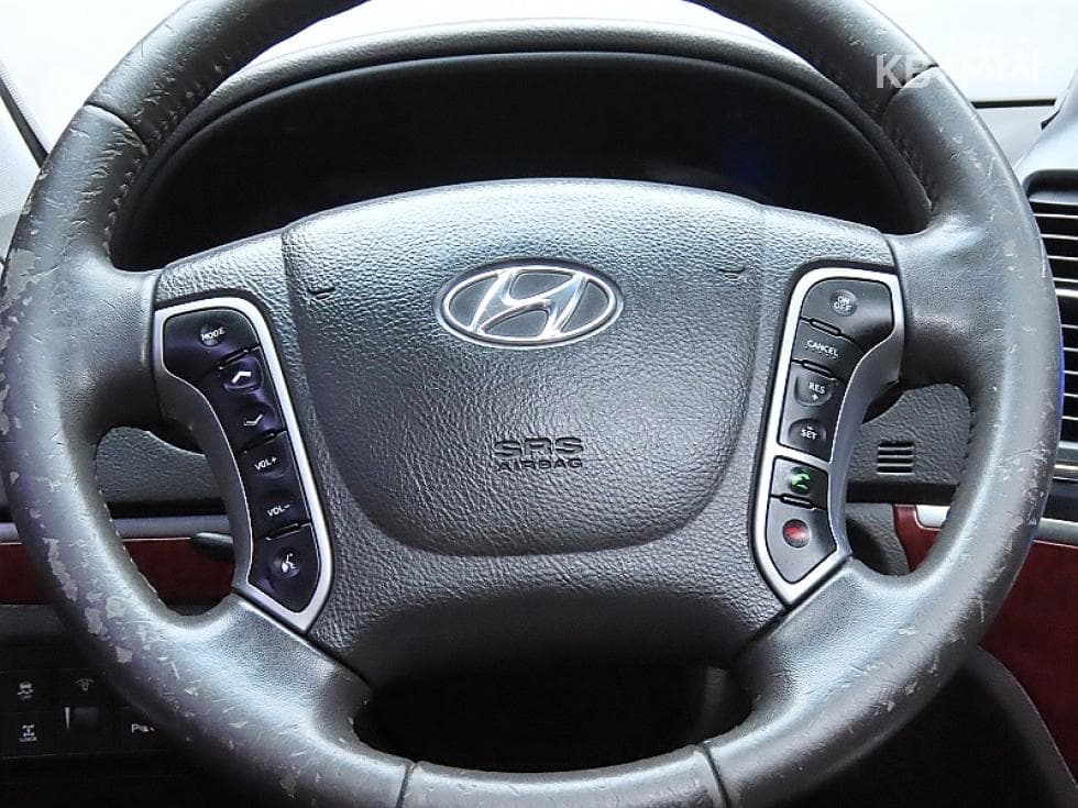 Hyundai Santa Fe CM4WD(2.2 e-VGT) MLX Luxury - 17